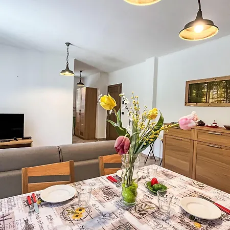 Acero - Sbo104 By Interhome